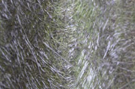 Dunscore fibreglass roof work